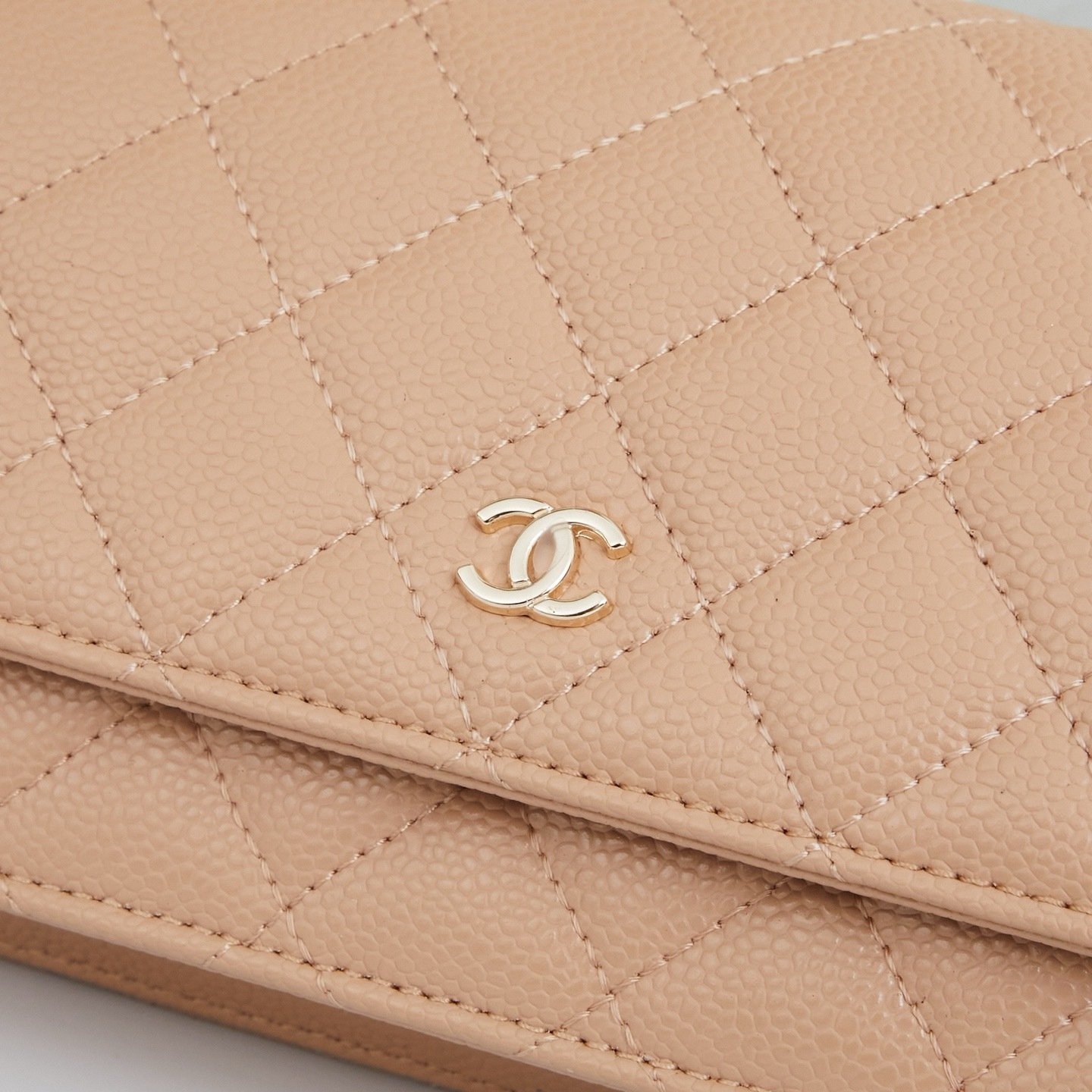 Chanel Woc Karl Lagerfeld Bag 0250