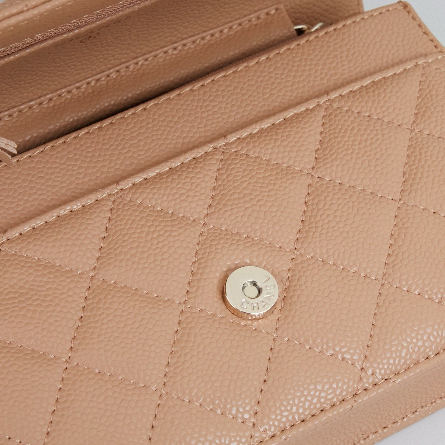 Chanel Woc Karl Lagerfeld Bag 0250