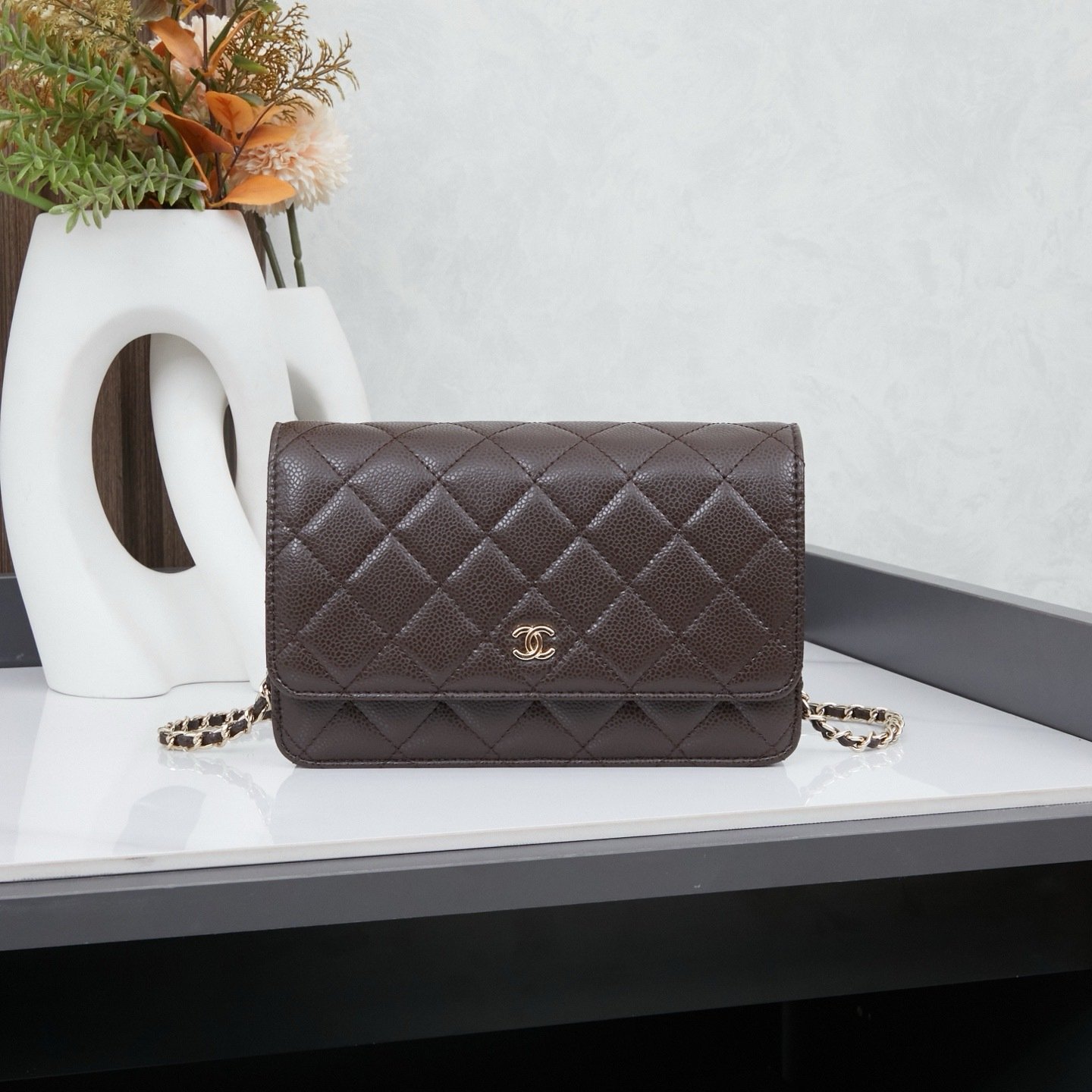Chanel Woc Karl Lagerfeld Bag 0250