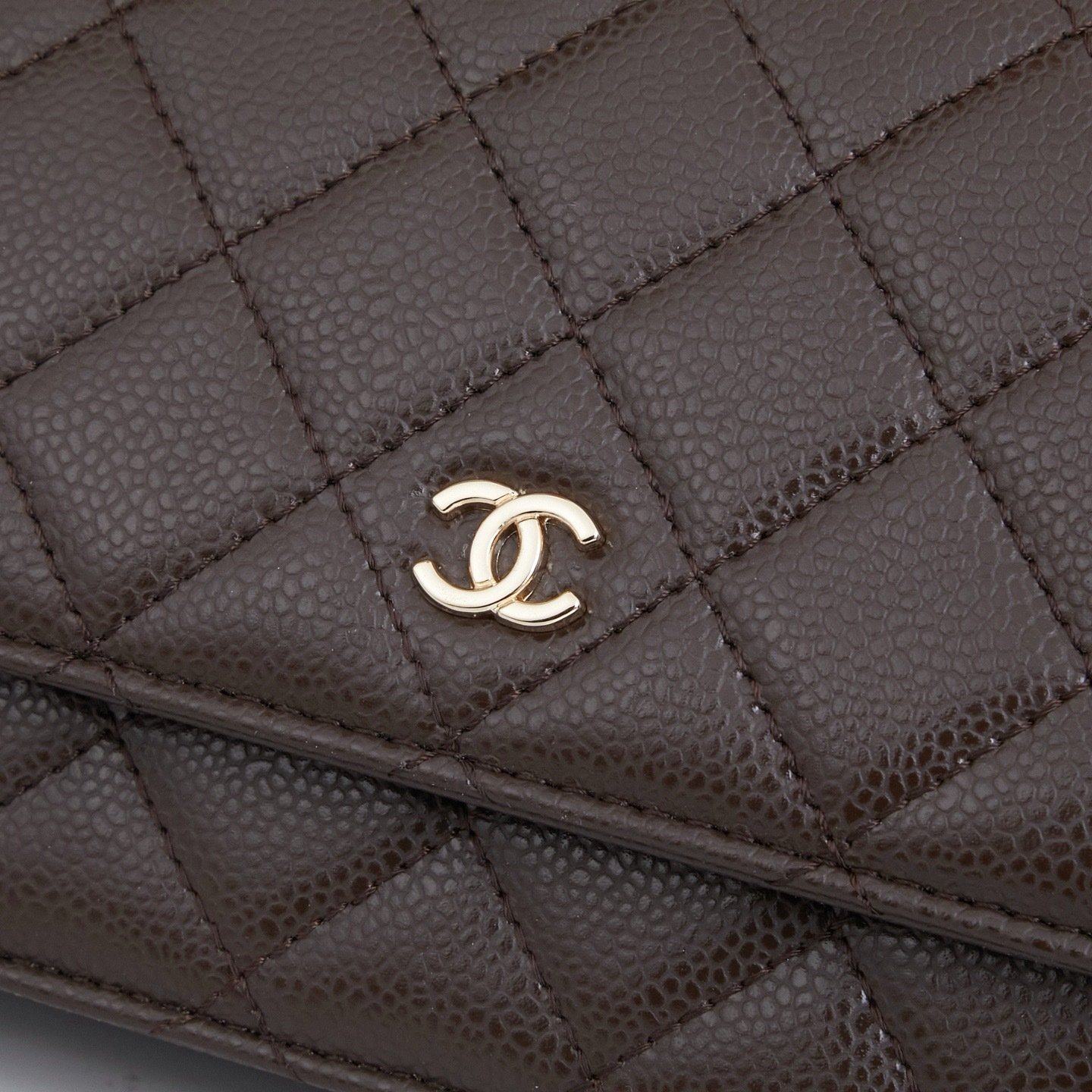 Chanel Woc Karl Lagerfeld Bag 0250