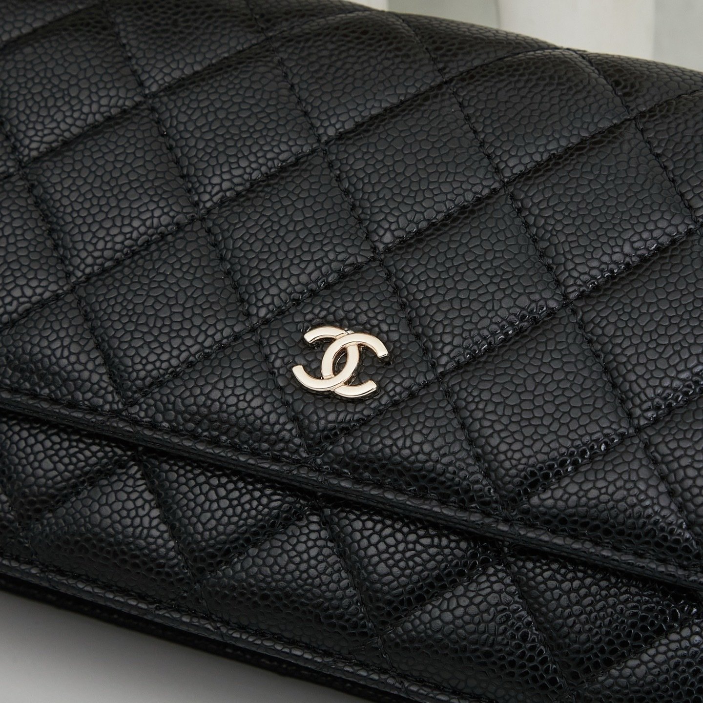 Chanel Woc Karl Lagerfeld Bag 0250