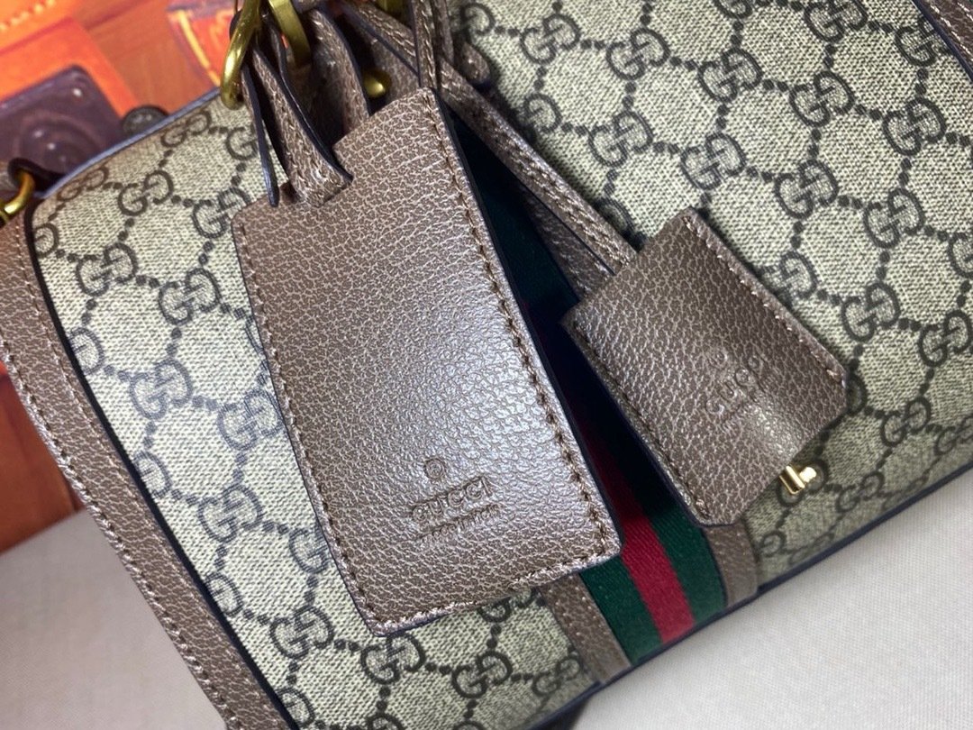 Gucci Vintage meo vintage pvc Mini Brown Travel Bag-2 645017