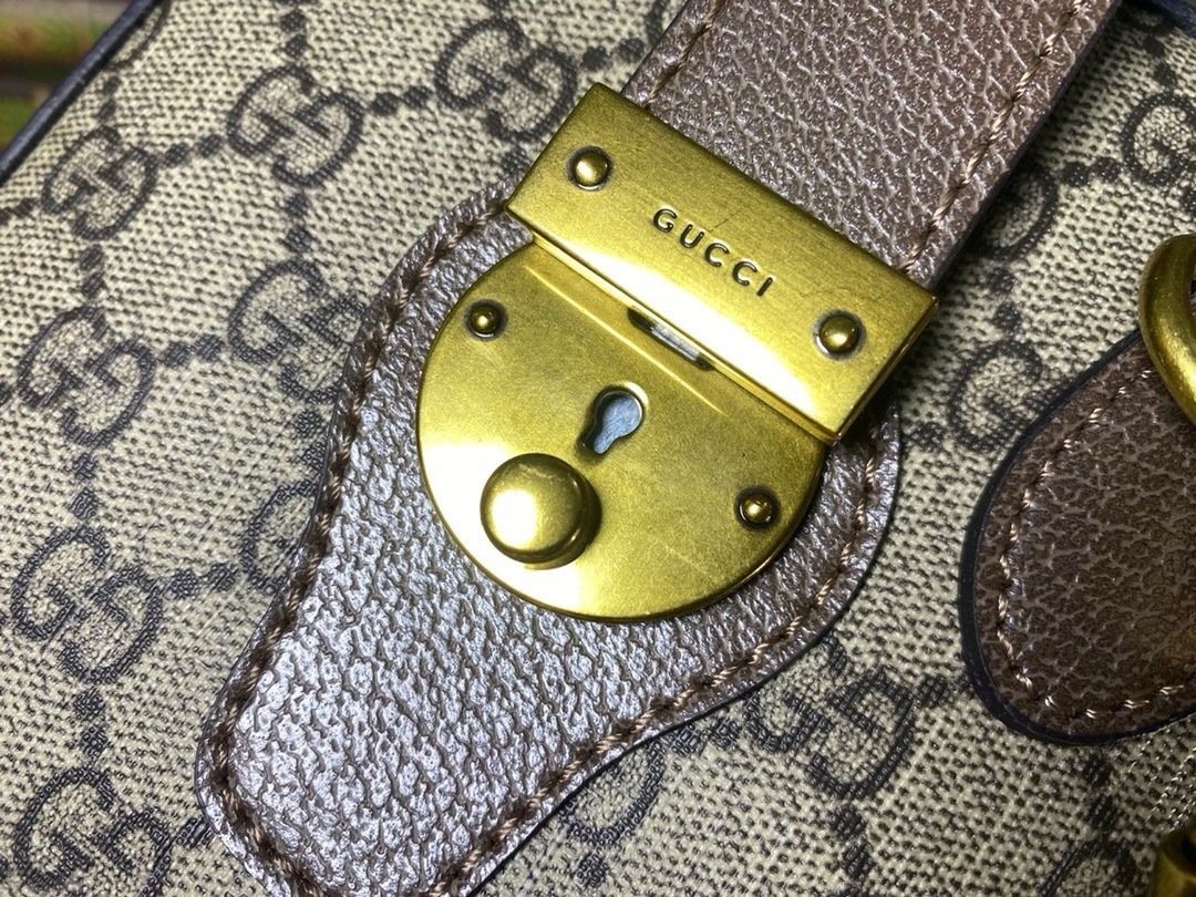Gucci Vintage meo vintage pvc Mini Brown Travel Bag-2 645017