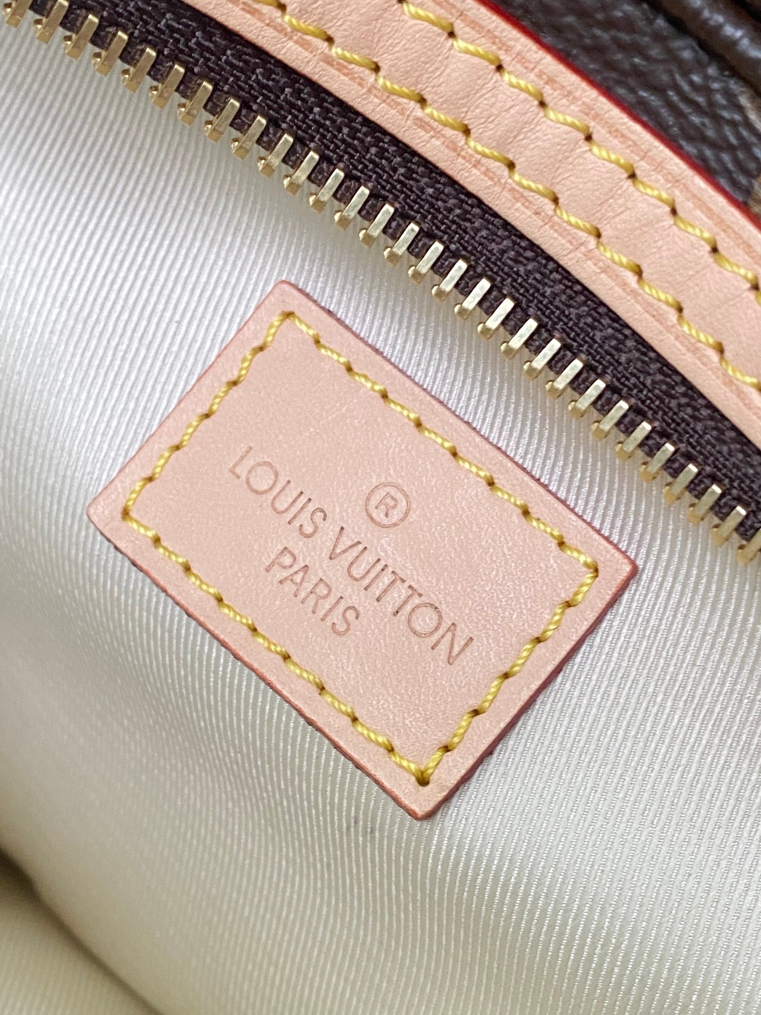 Louis Vuitton Canvas M46784 cm680 Bag 001670