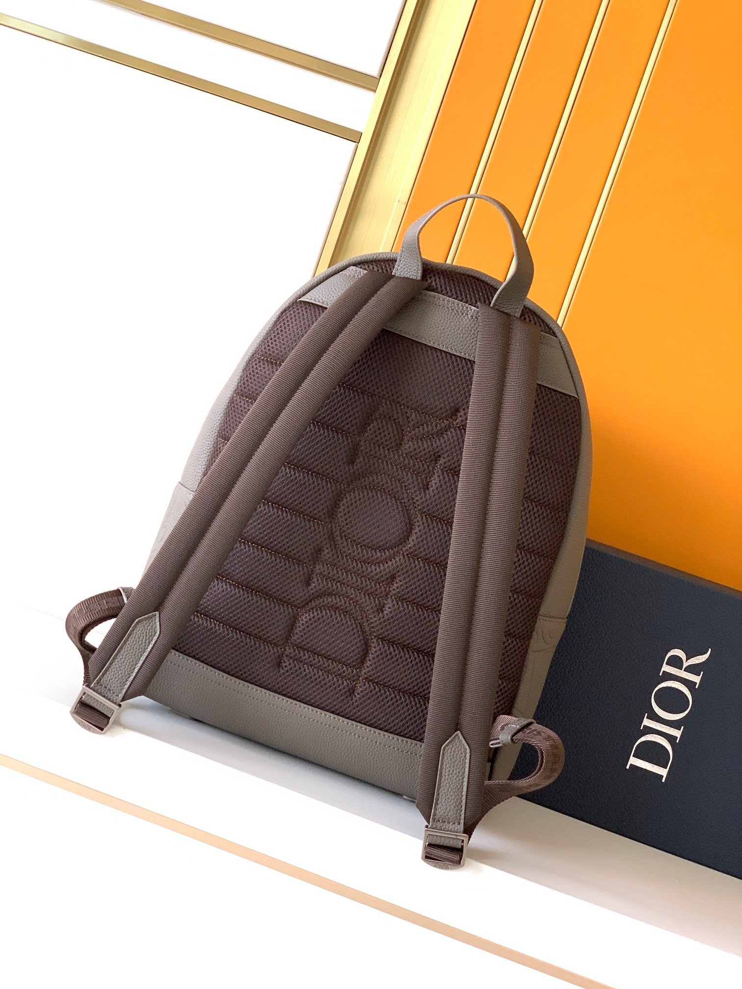 Dior Leather Christian x42x17 Gray Backpack 001800