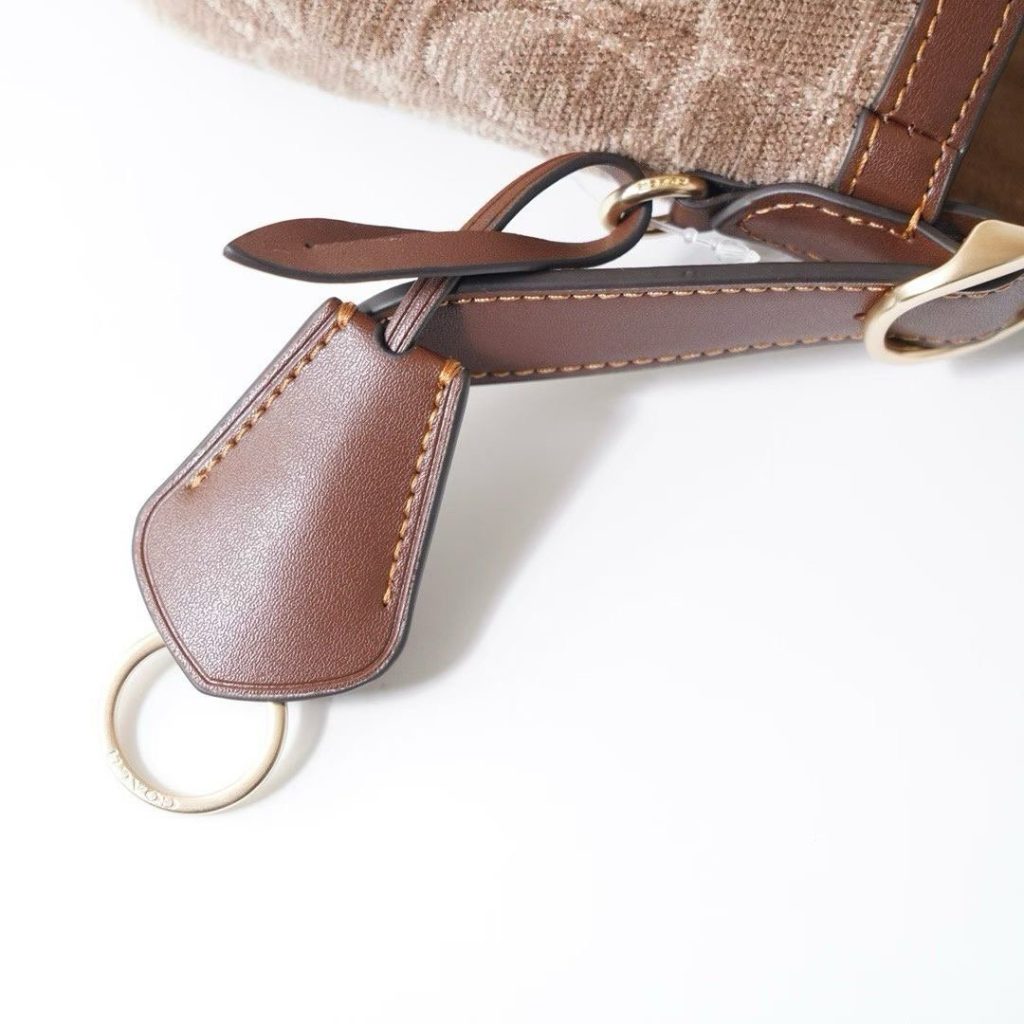 Coach ETTA25 CCV65 New Arrival-7 001320